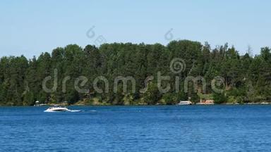 美丽的明尼苏达森林湖场景，一艘摩托艇滑过一对普通的腰部，一个腰部拍打着翅膀。
